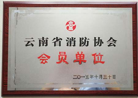 会员单位